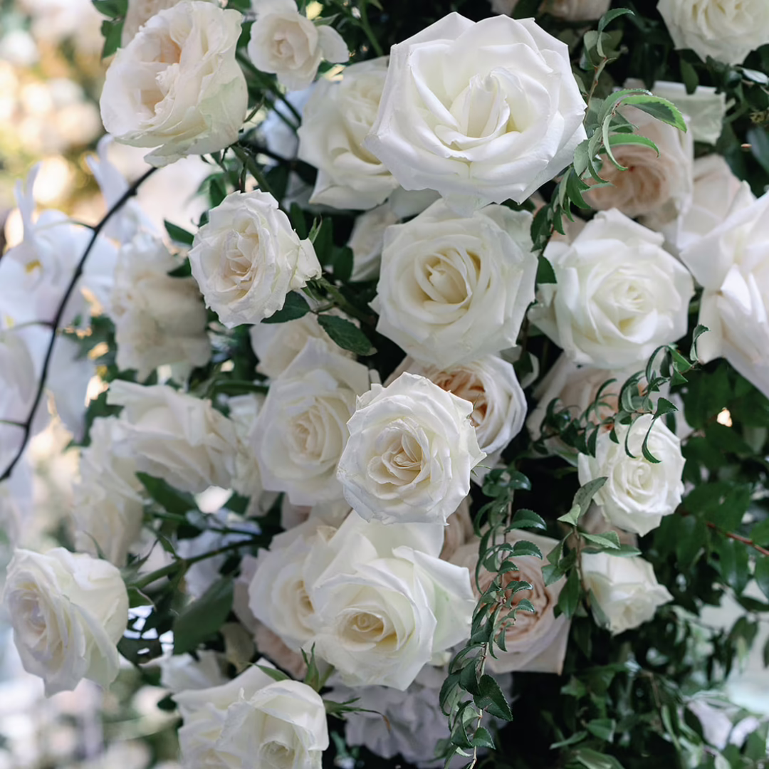 Close-up of white roses and greenery from luxury Las Vegas wedding floral arch by Miss Daisy Floral.